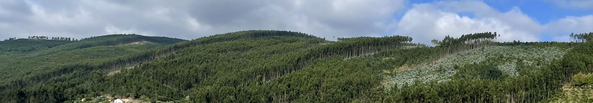 Amplia oferta de pisos, casas rurales, cortijos, fincas, parcelas  . Antonio Guardia Mancilla (GUAJARES) en Los Guajares